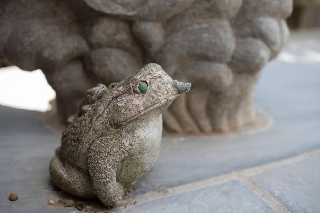 Frogs Bottom Retreat Faversham & Canterbury, Kent Экстерьер фото